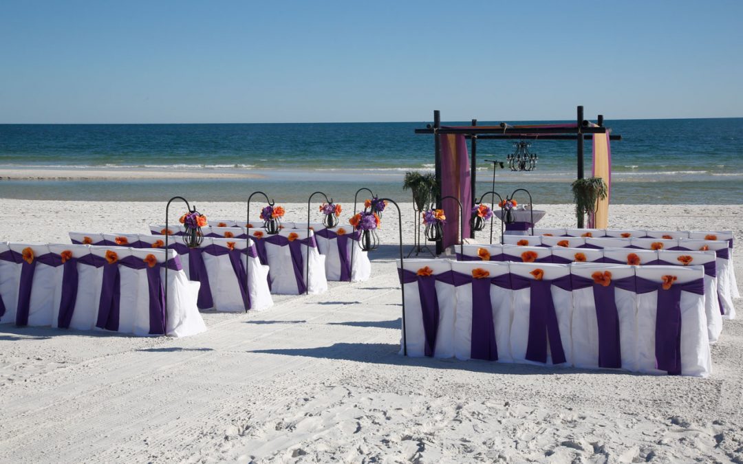 Large 3-3.5 Sand Dollars Beach Wedding Decor BULK Special